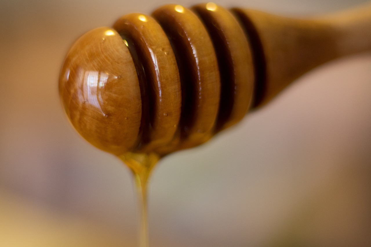 英雄联盟最新动态，新英雄、装备曝光，新赛季展望揭秘