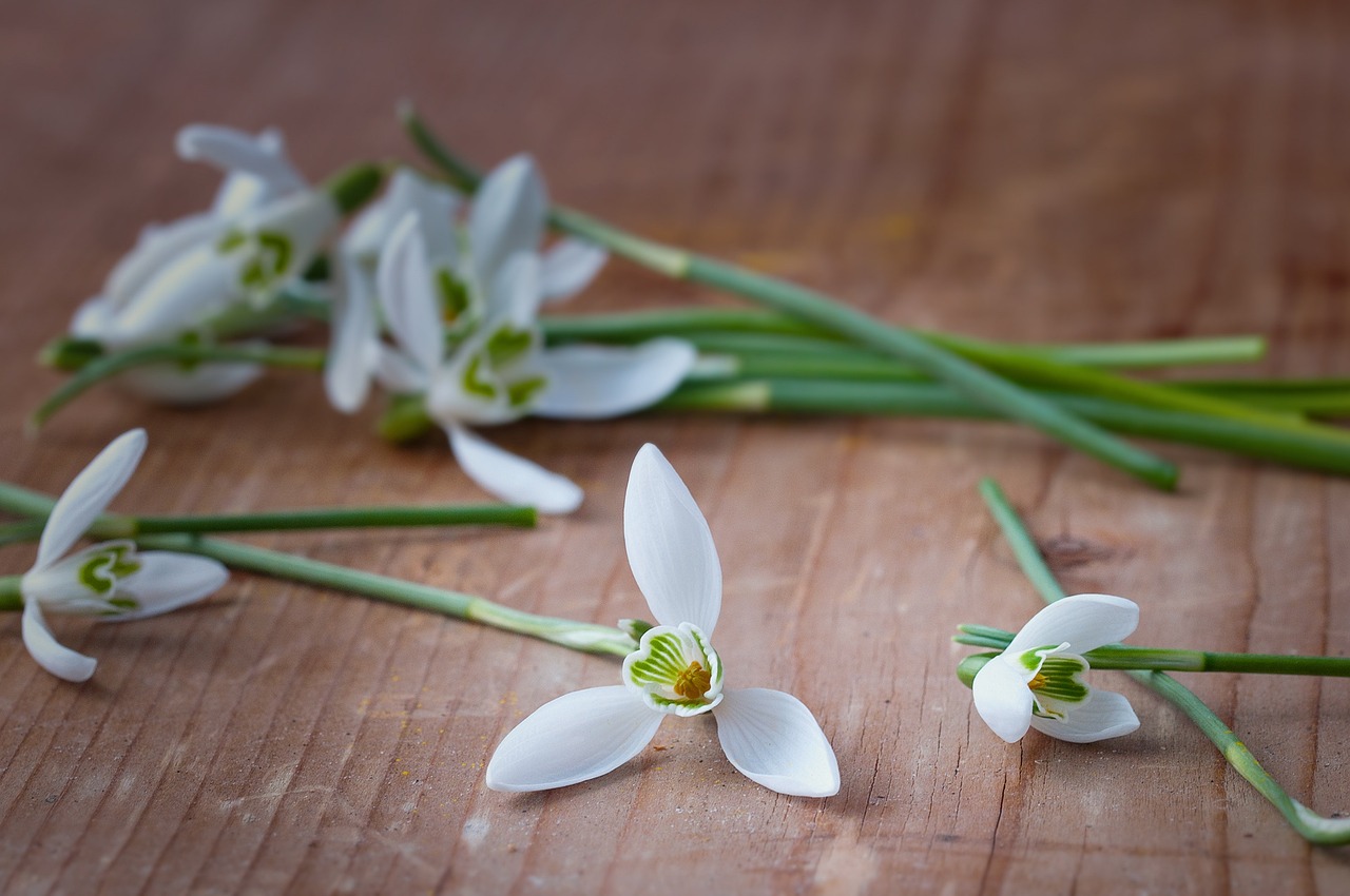 文山最新资讯概览，最新动态一网打尽