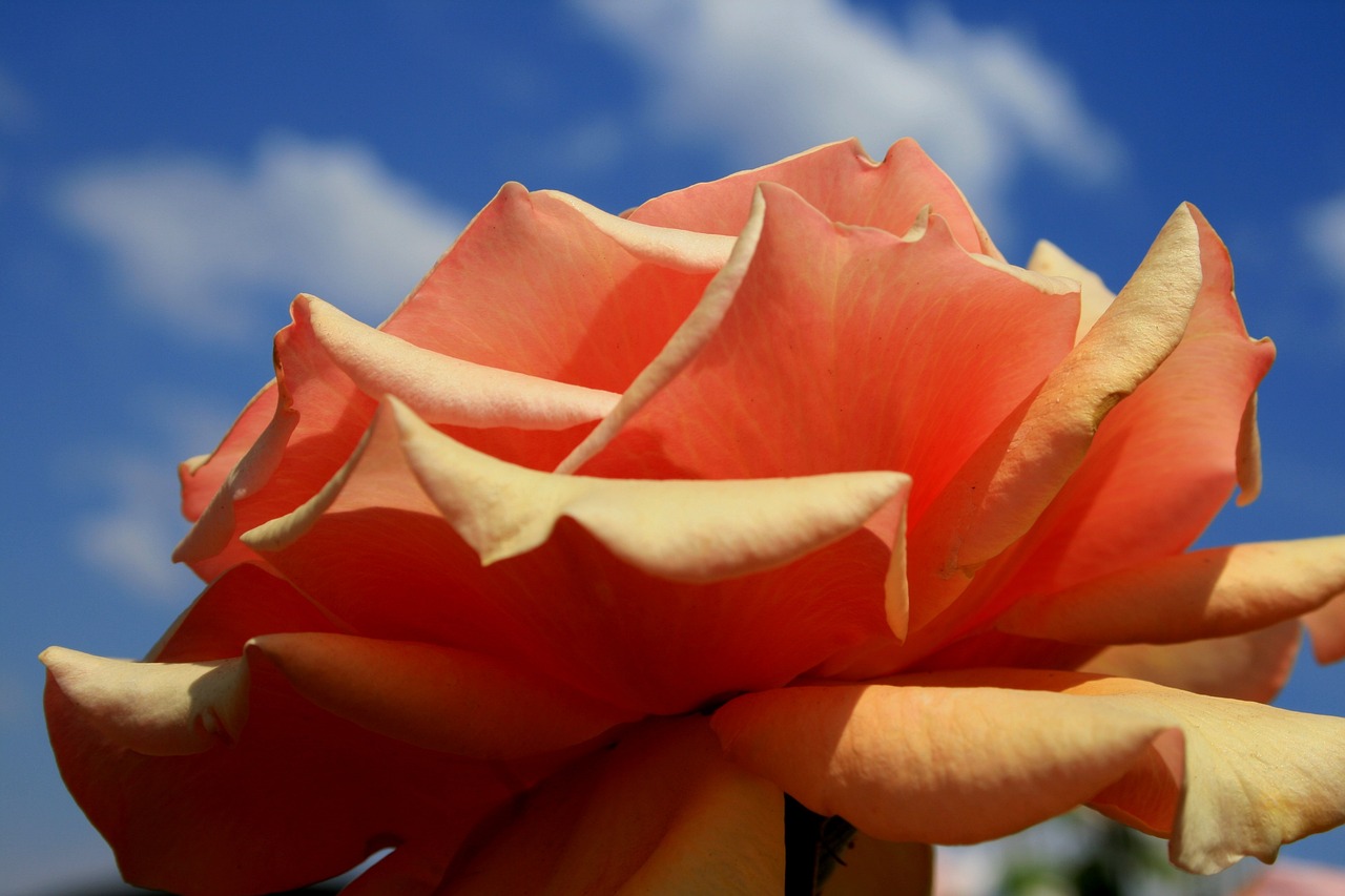 2014年度人生感悟名言精选荟萃