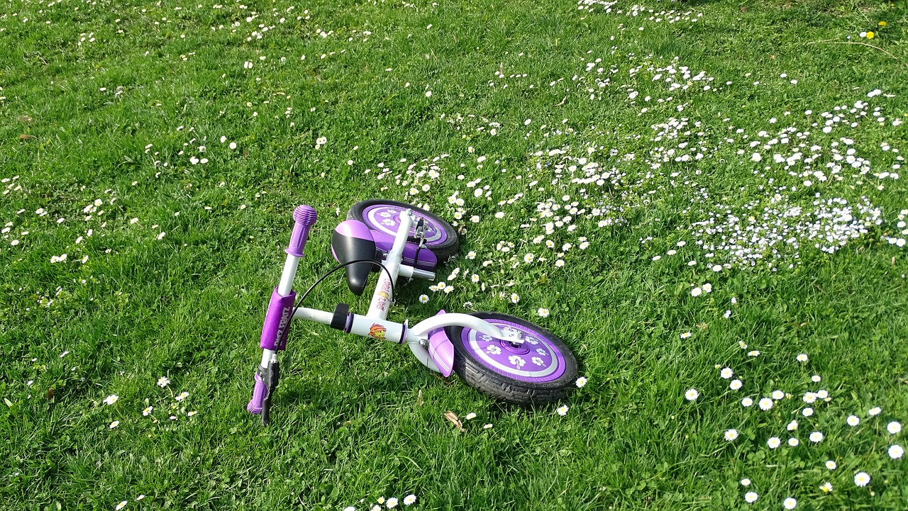 秭归疫情最新动态，全面应对，共守家园安全