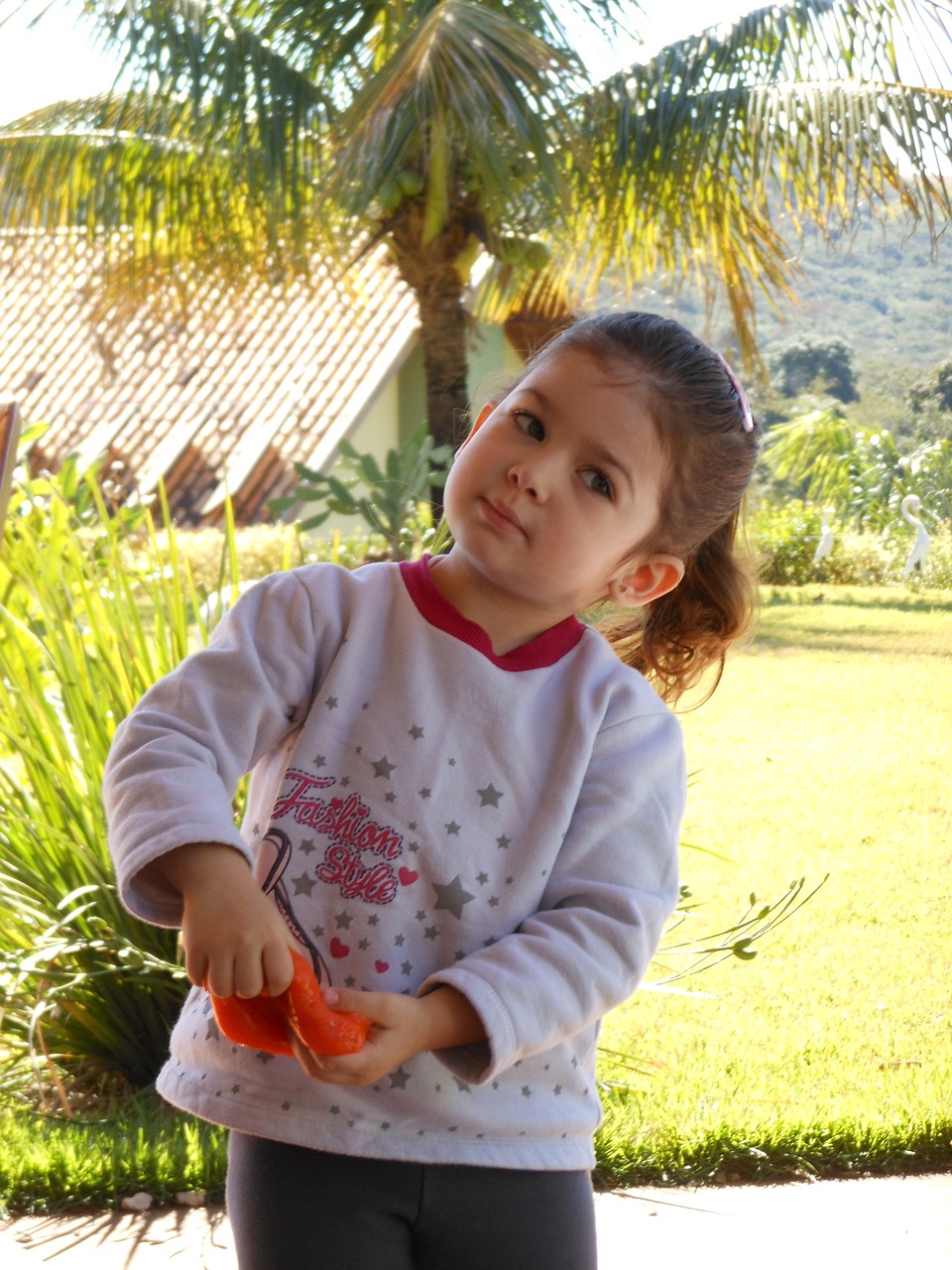 明星儿女名字汇总