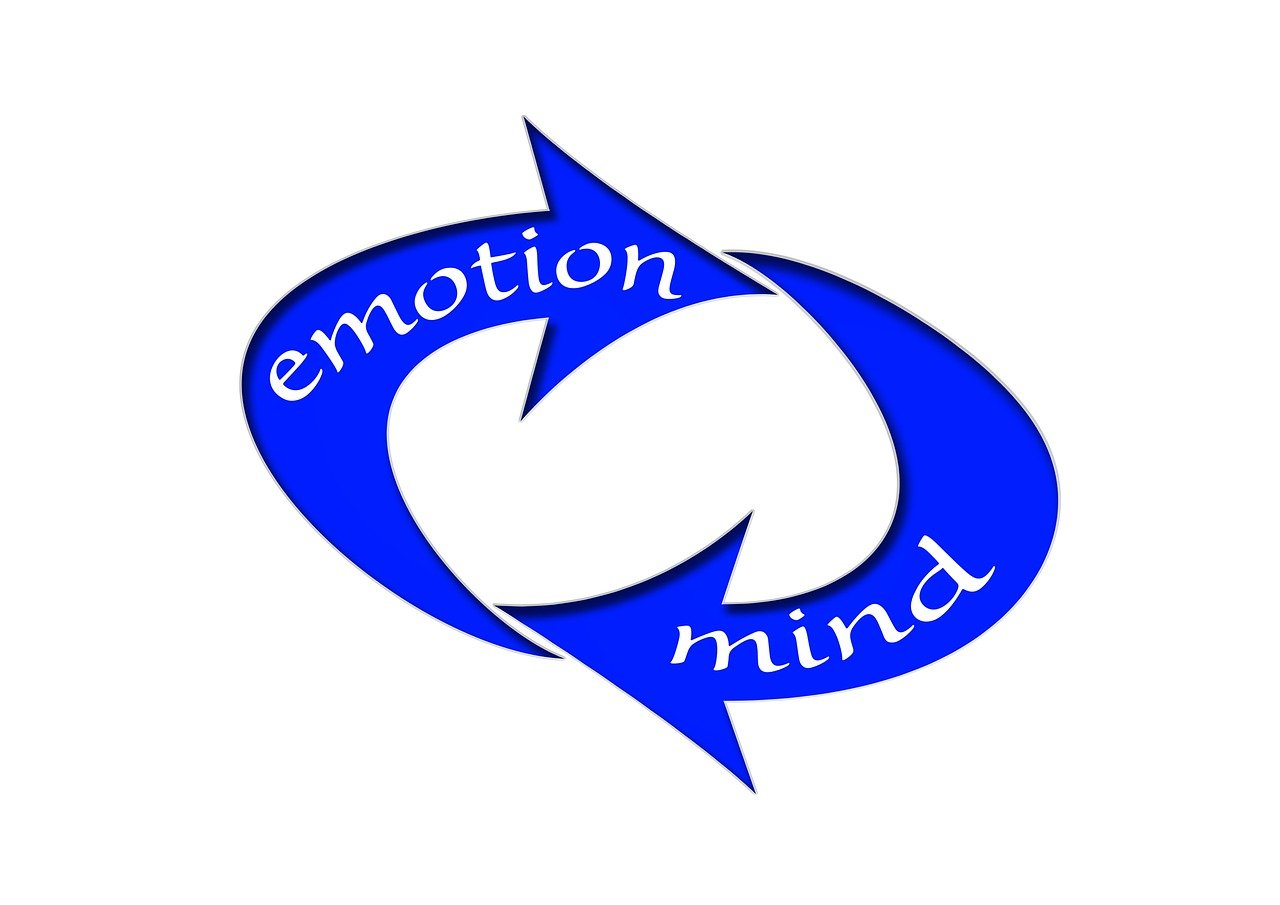 MBI最新动态,引领未来商业创新的力量之巅