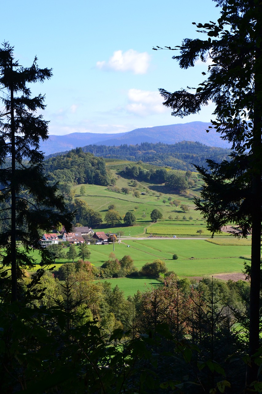 退耕还林到期政策最新动态，生态建设措施与未来展望