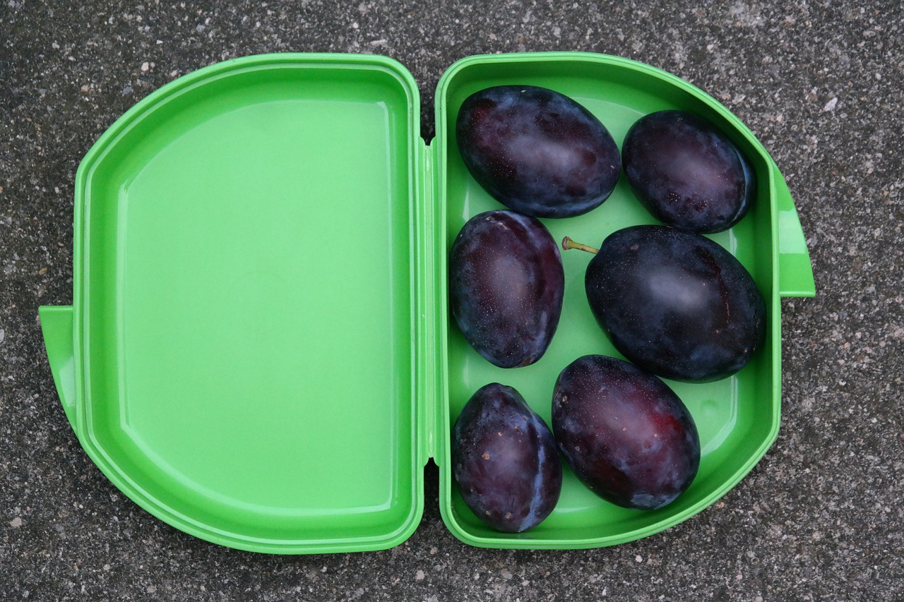 动漫中的便当文化,从便当看动漫的魅力