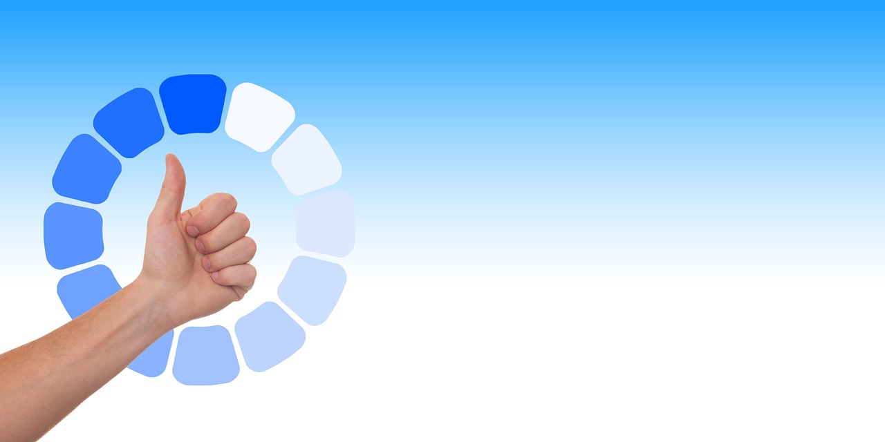 净雅大酒店最新动态,创新升级与品牌发展之路揭秘