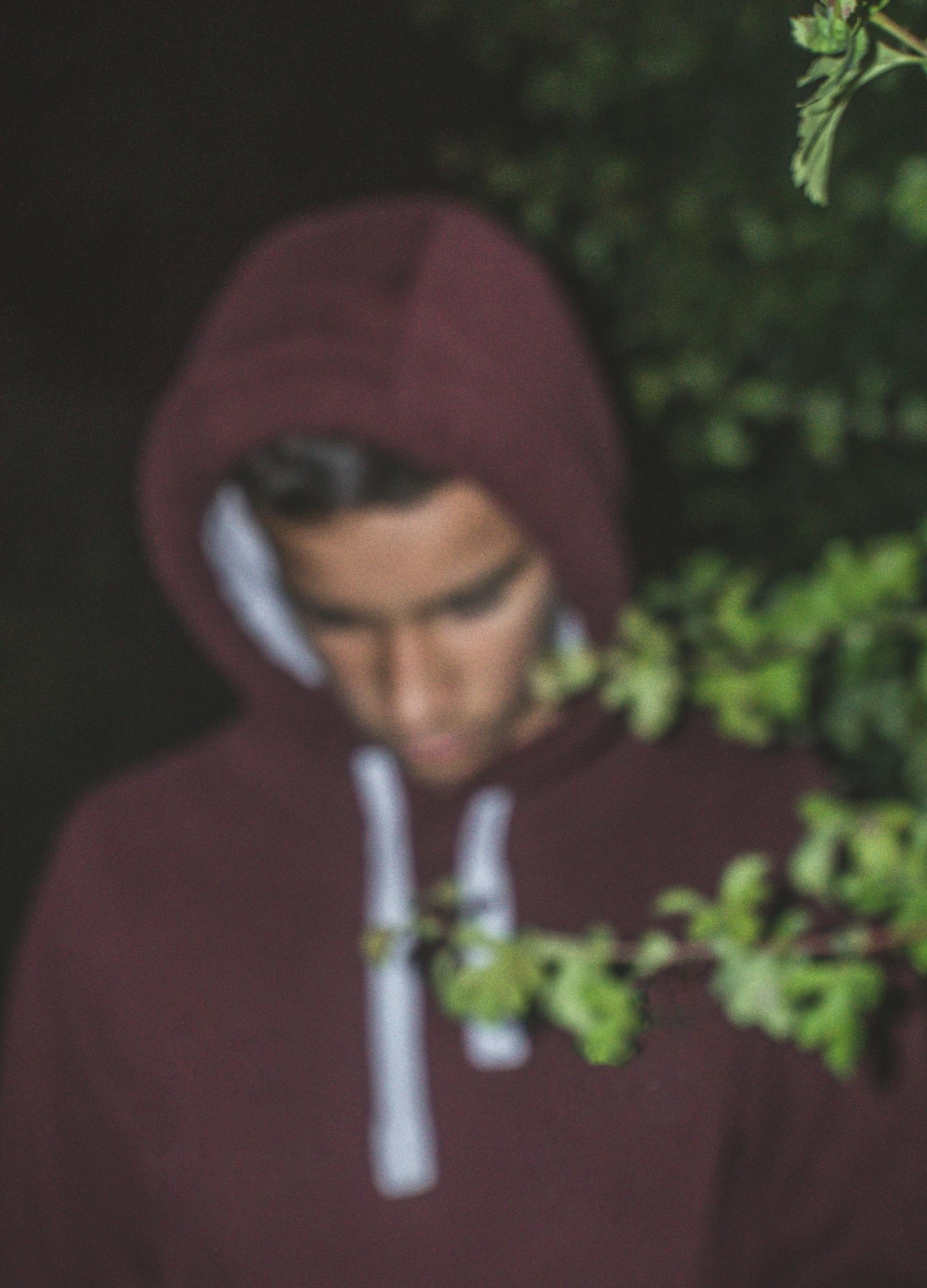 最新电影情报,探索电影的无限魅力与情感深度之旅