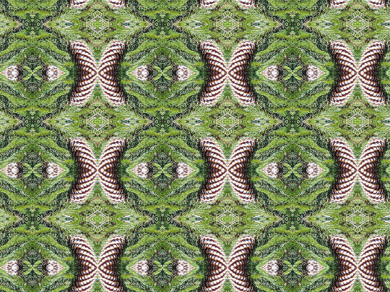 探寻音乐天才比伯的最新动态与成就资讯速递