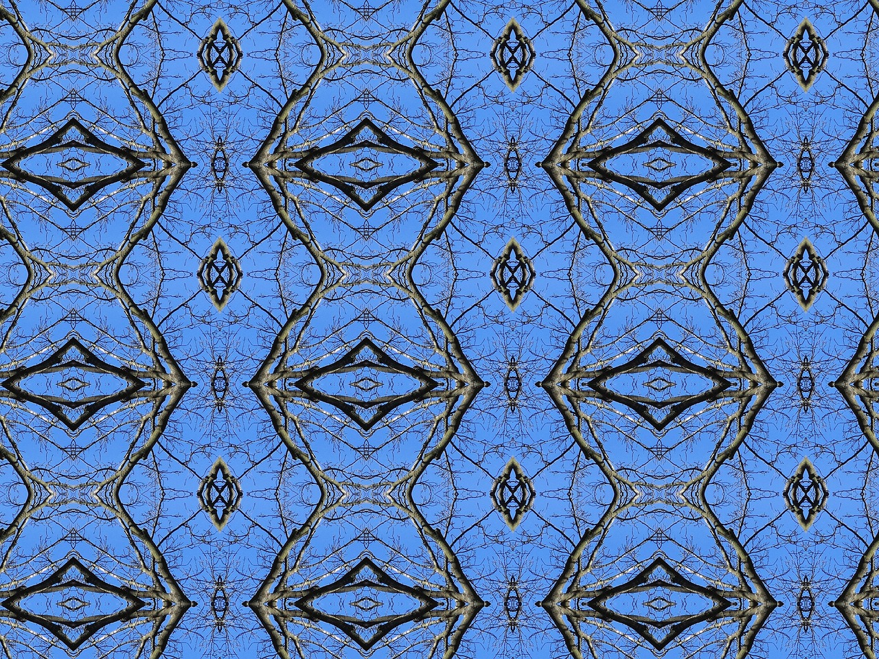 探寻音乐天才比伯的最新动态与成就资讯速递