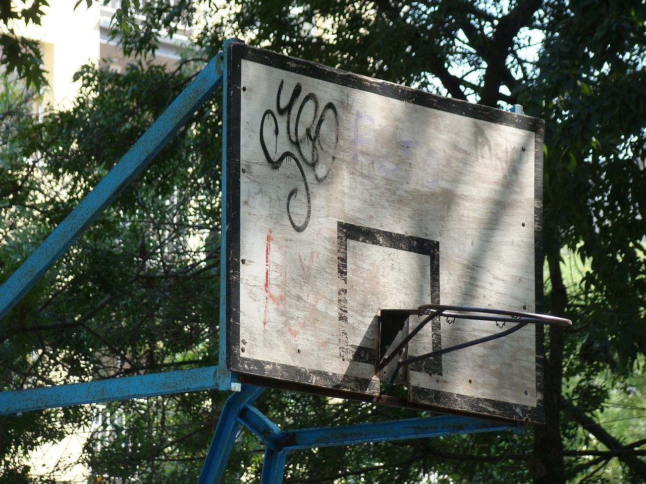 武汉最新就业信息概览与动态更新