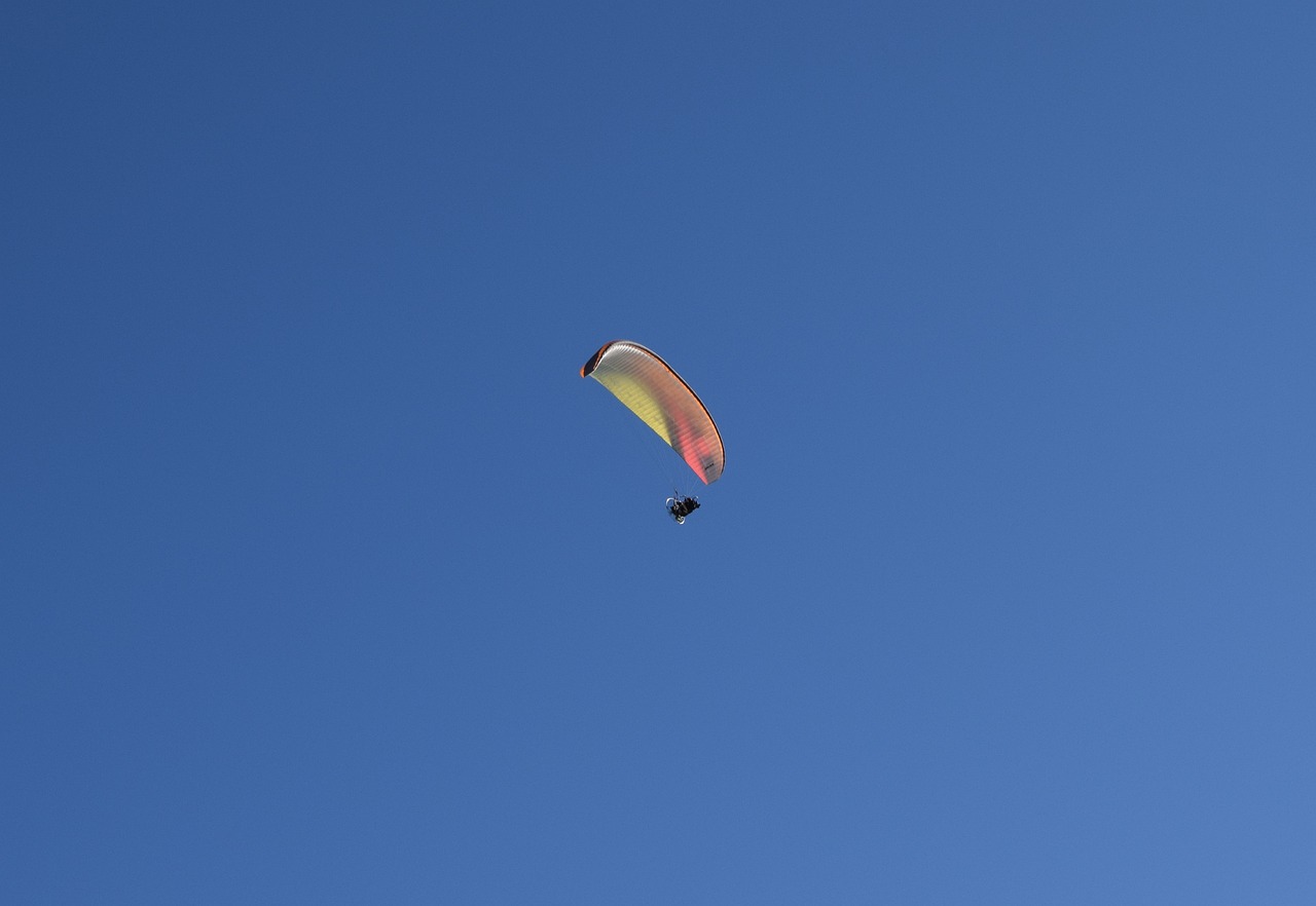 微风动态，自然之美的细腻展现