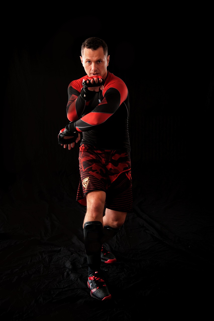 功夫战斗机演员表全揭秘