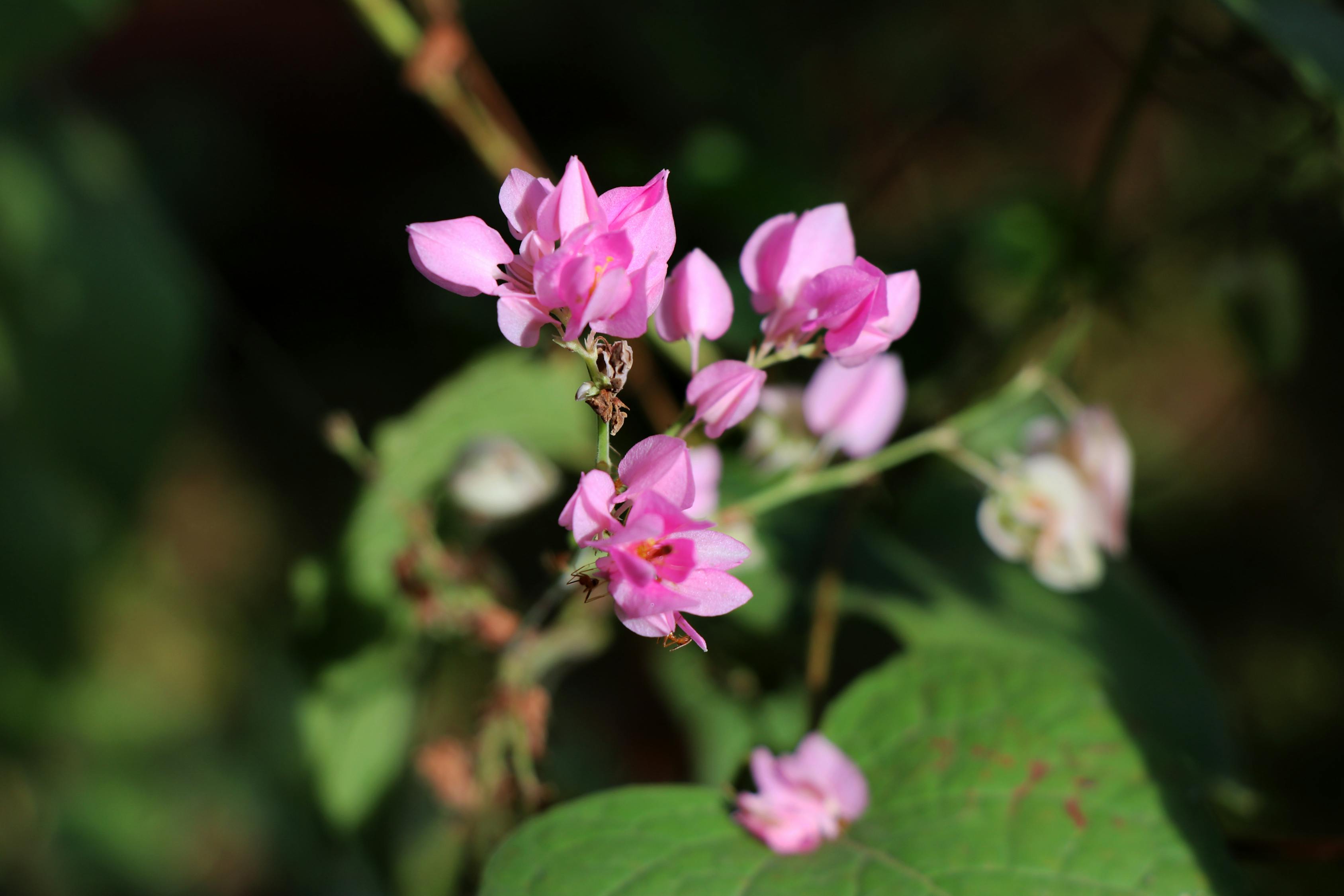 上高命案进展全面解析及最新动态