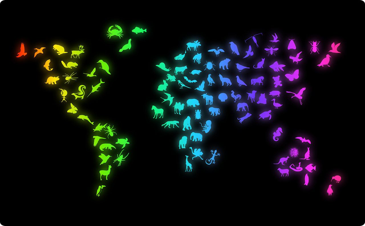 视频剪辑大赛，创意与技术的巅峰对决