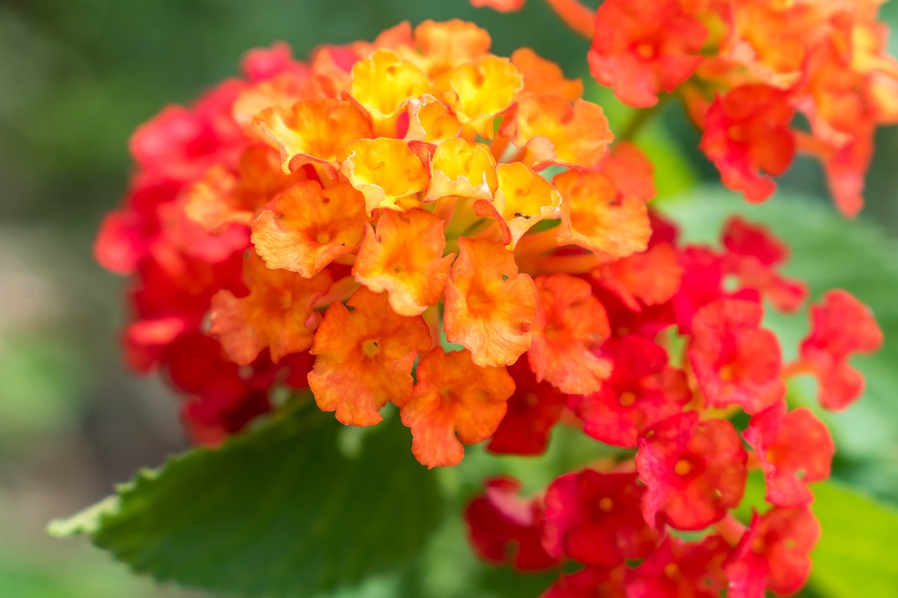 历史与虚拟的完美融合，刘备动漫头像欣赏