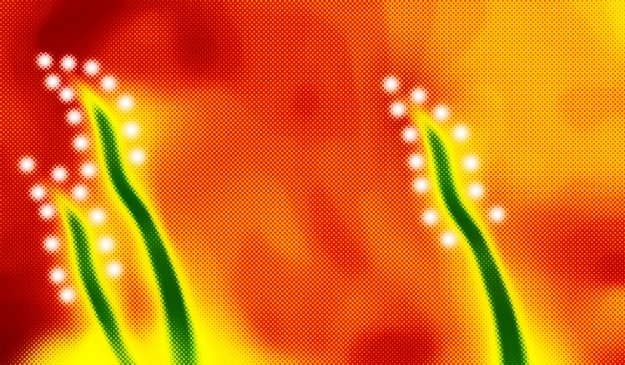 远离色情内容，追求健康娱乐生活，法律与道德的指引