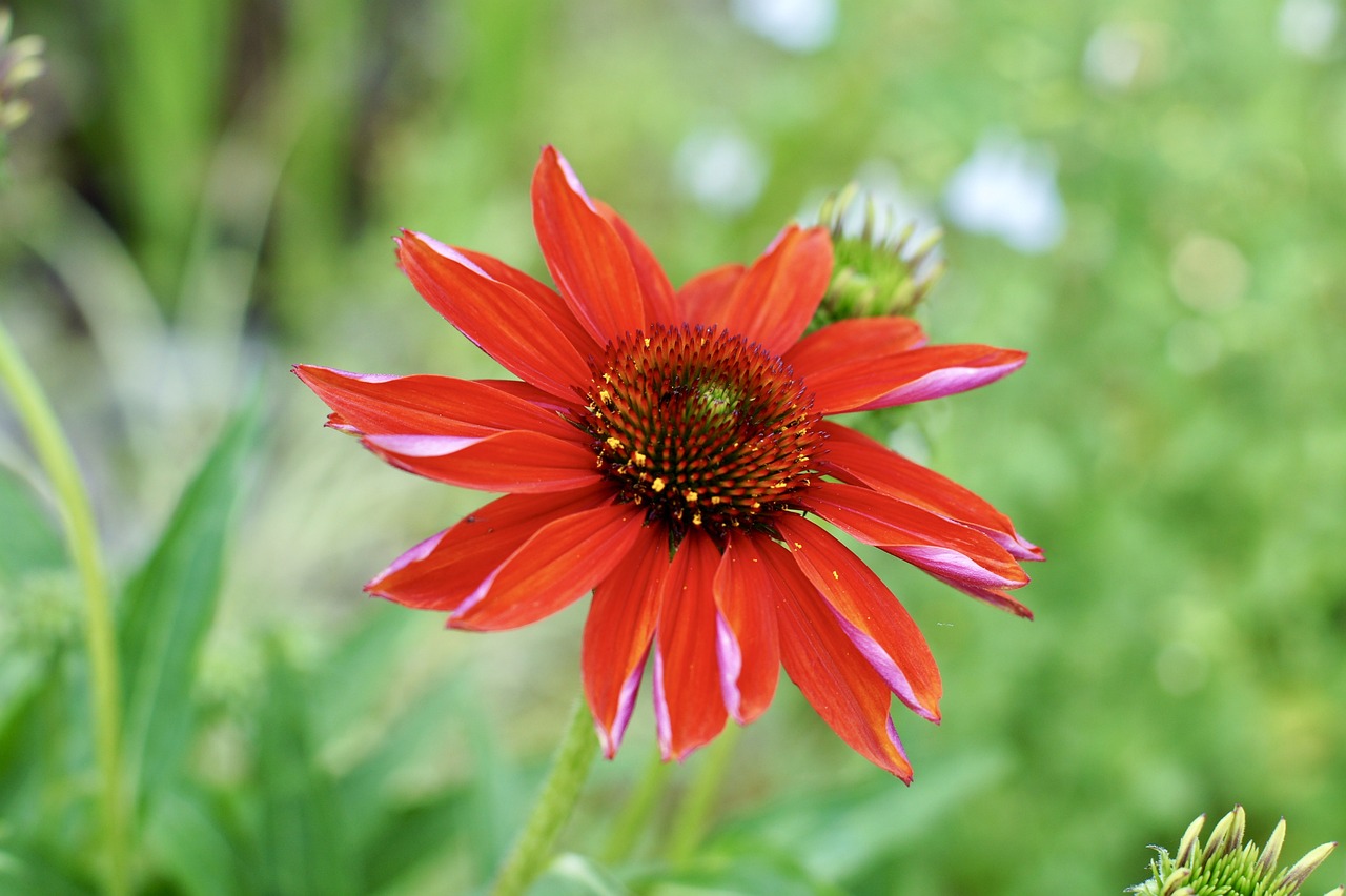 蓝樱浅蝶 第26页