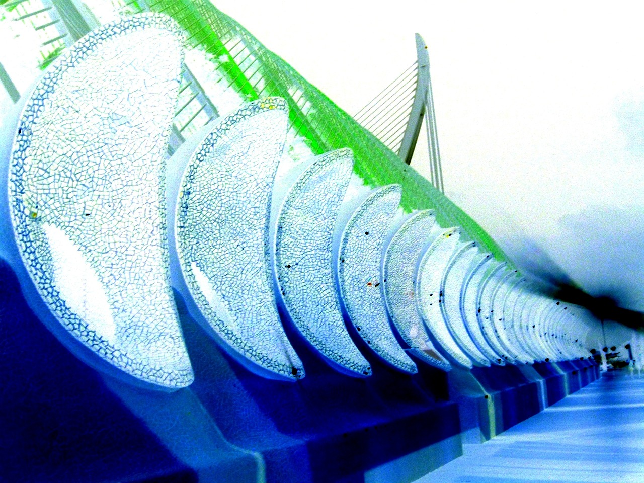 杨凌升市动态，城市发展的步伐与未来展望