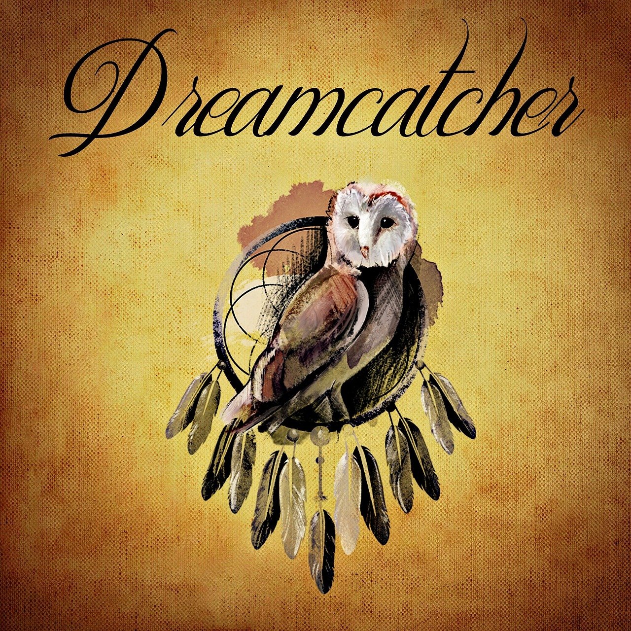 最新彩票传奇，梦想与命运的交织之战