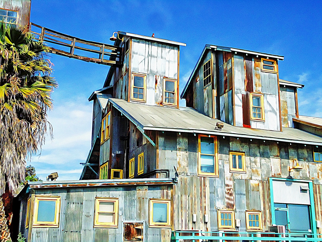 花开无言 第26页