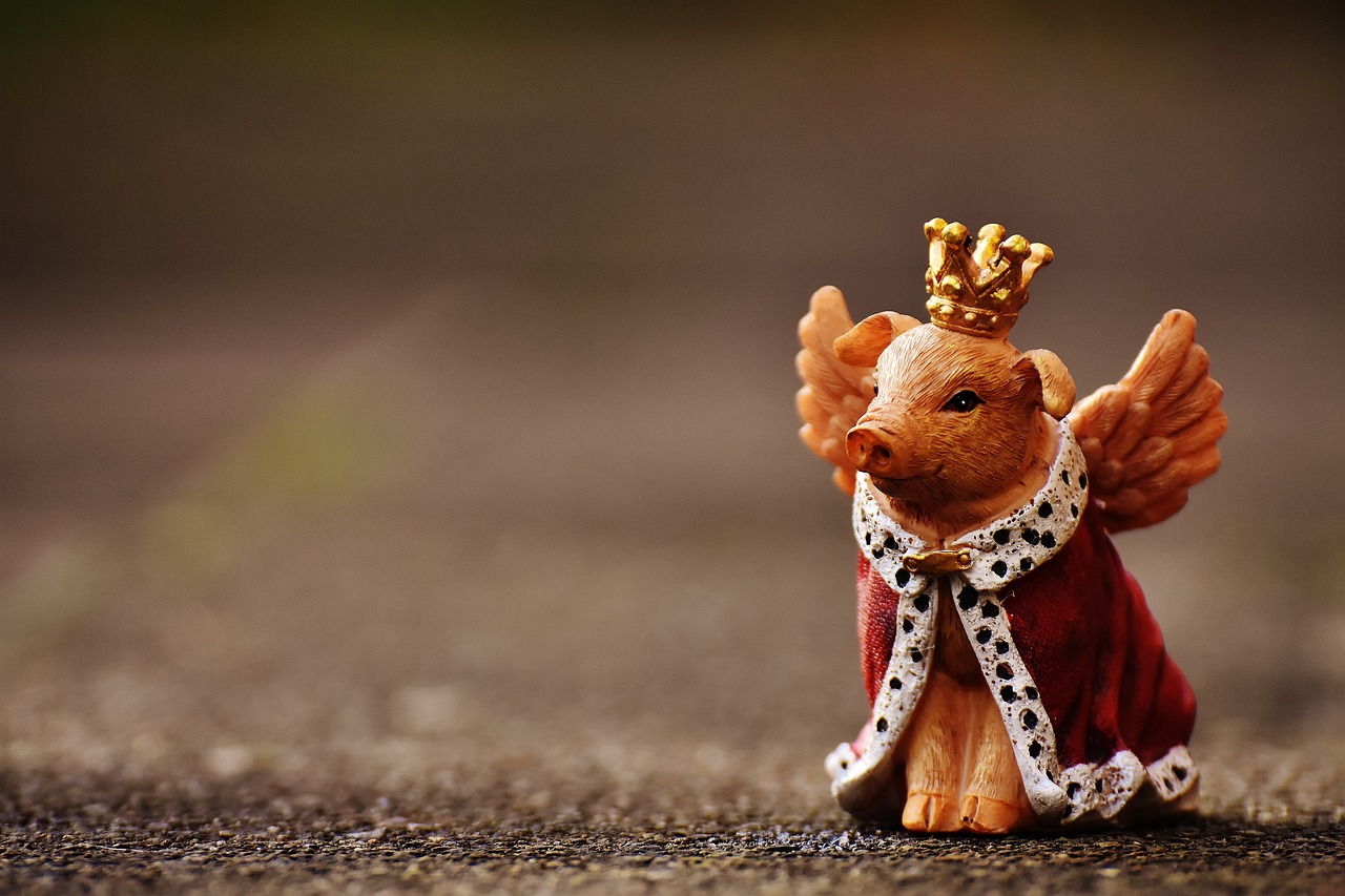 猪的动漫头像,流行的网络文化与情感表达新风尚