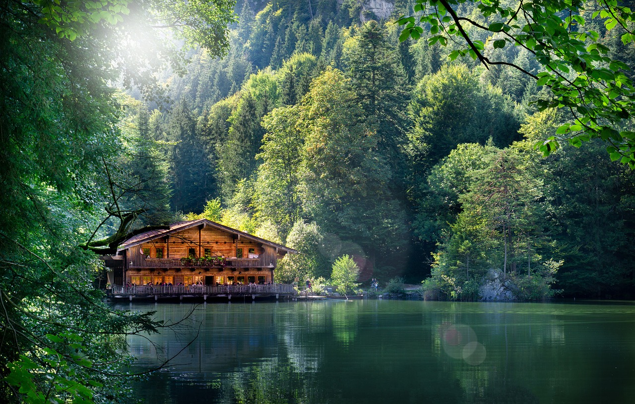 上思县最新资讯概览,时事动态一网打尽