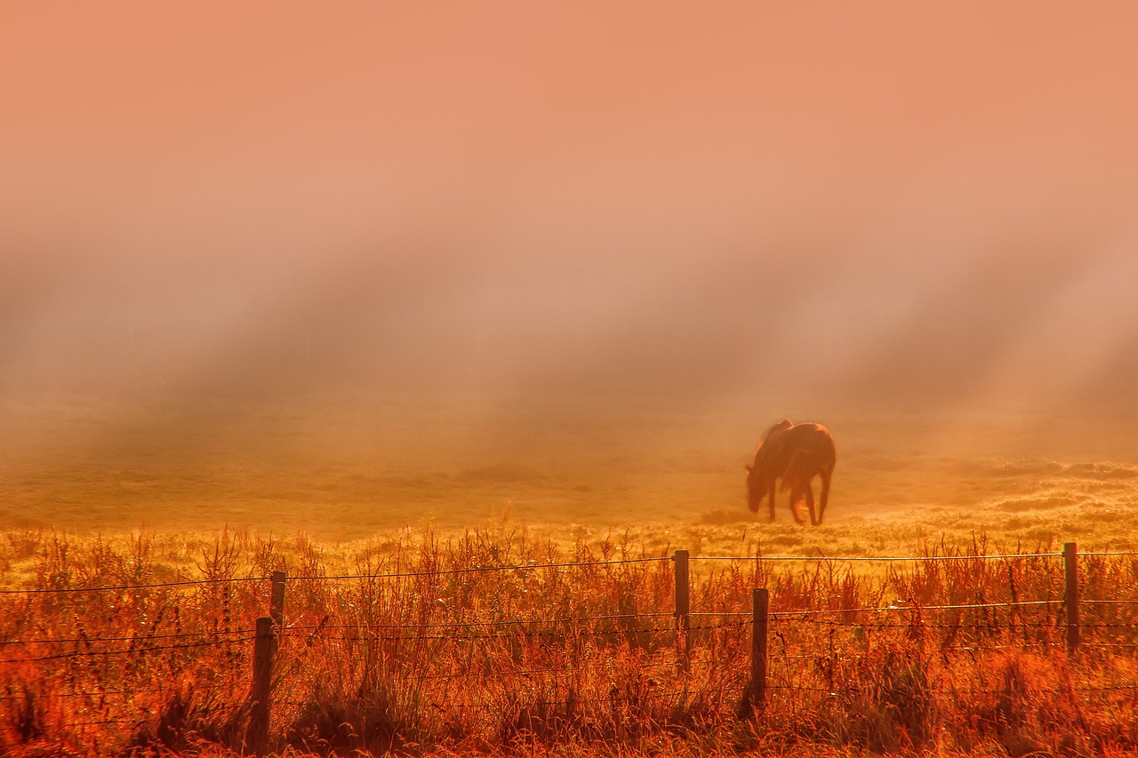 福建感人故事,温暖的力量与坚韧的希望之光芒