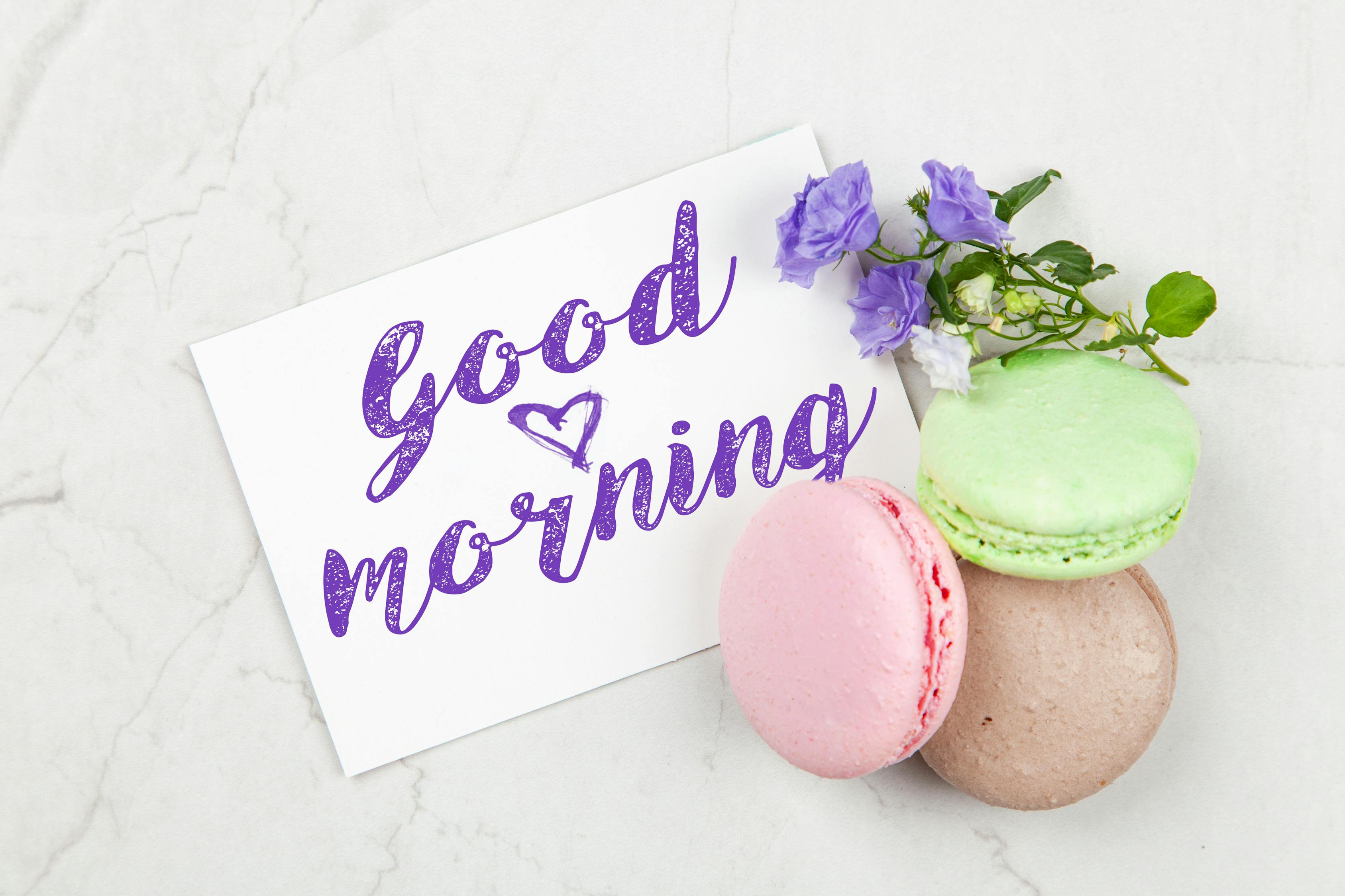 绘本故事比赛,激发创意,展现童趣之光