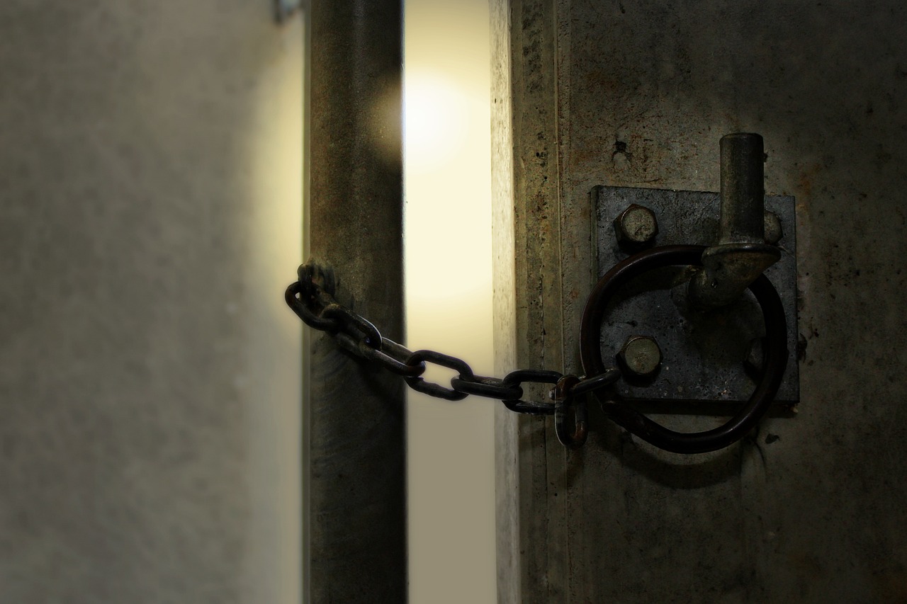 造化之门最新章节探秘，揭秘神秘之门的新动态