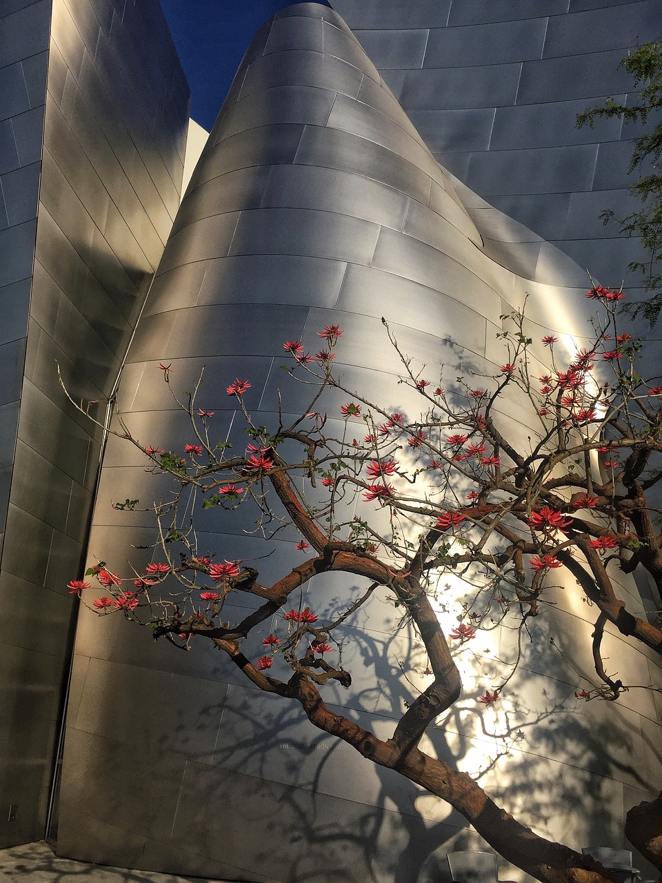 梁山龙城华府最新动态,项目进展解读与未来展望