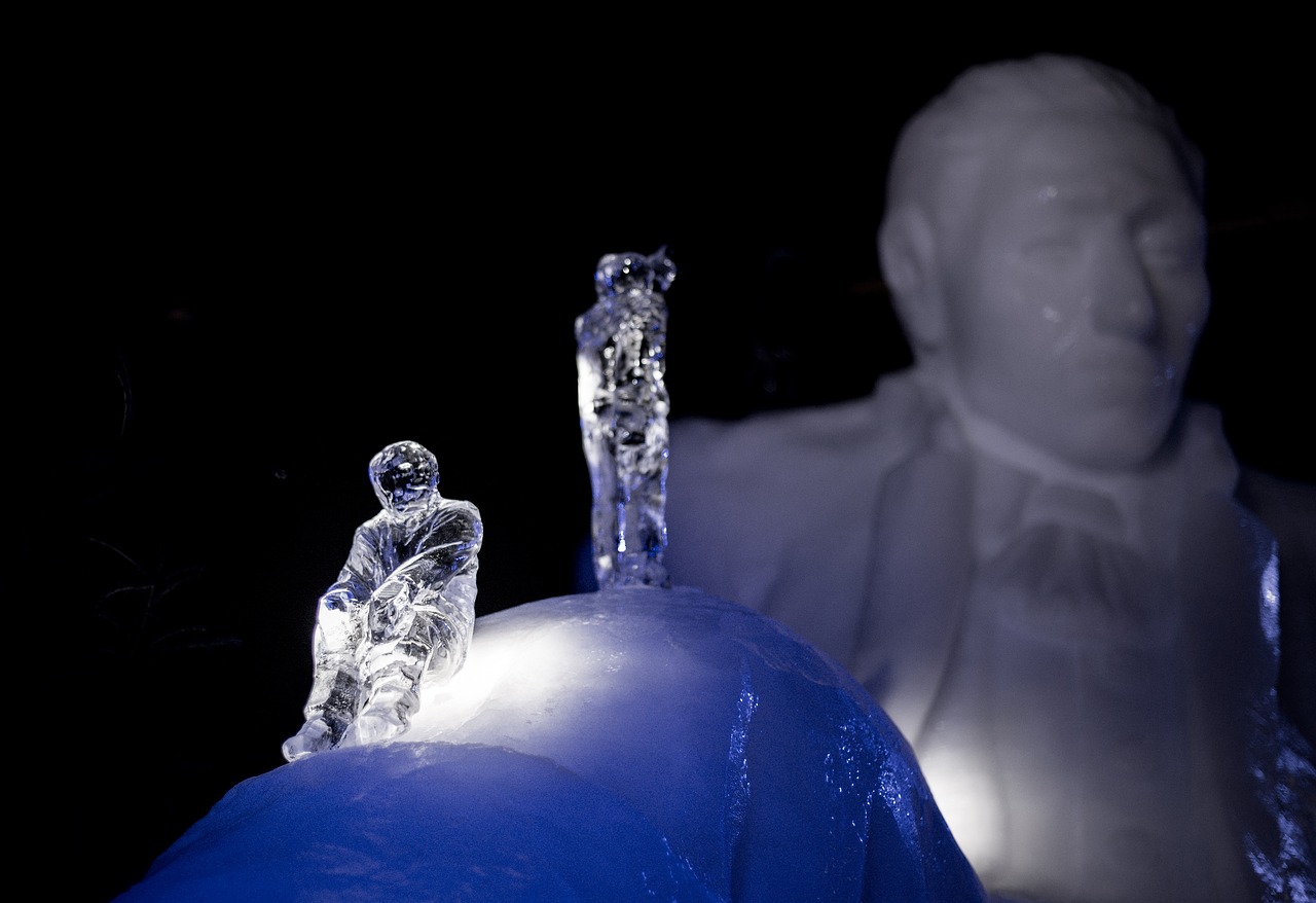 草坡动态，展现自然之美与生态平衡的魅力