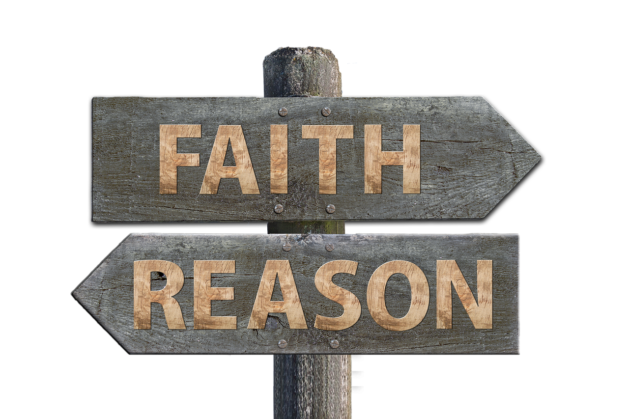 菜粕现货市场分析，价格动态、影响因素及未来趋势探讨