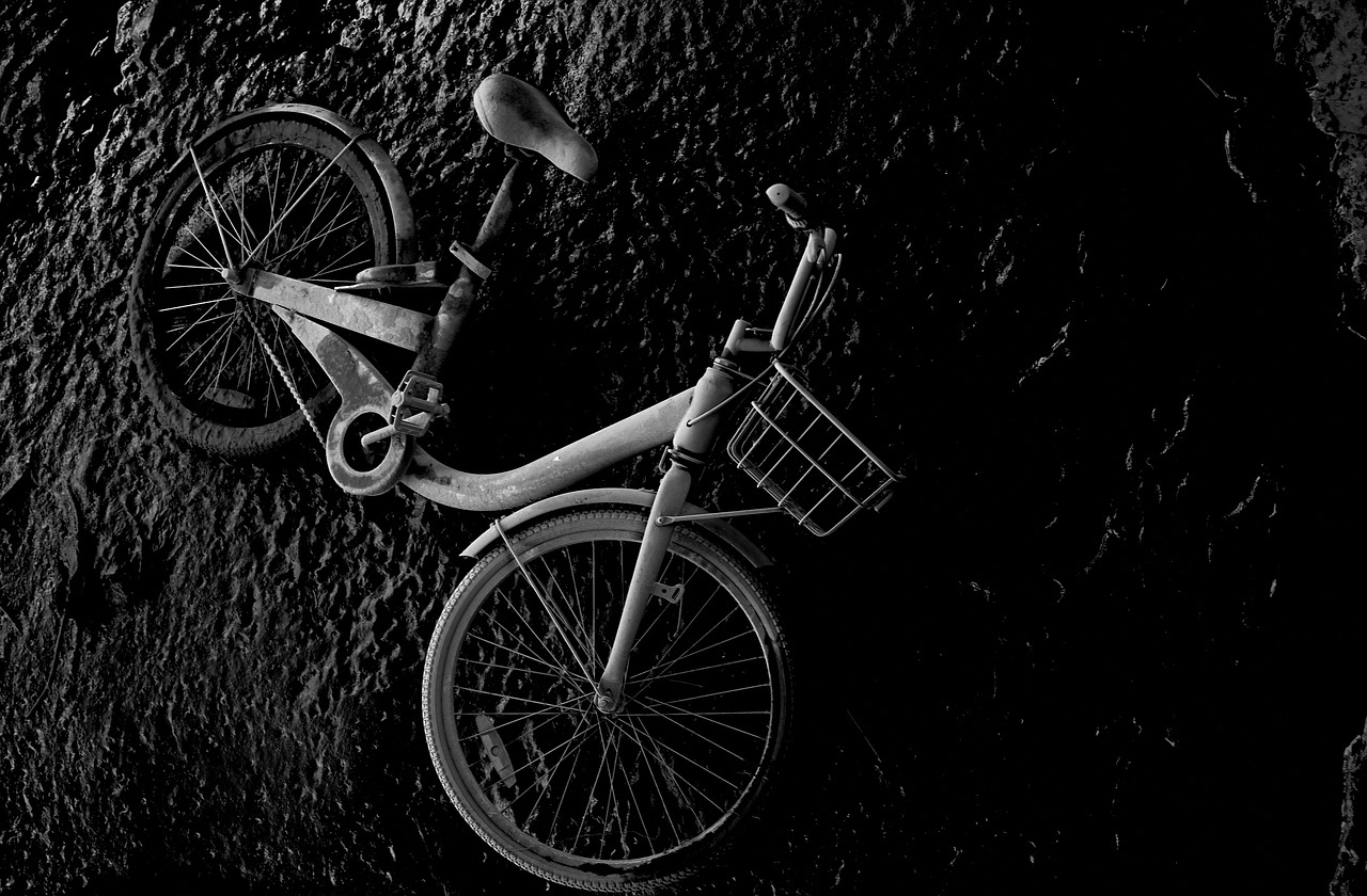 白塘口动态资讯，探索城市新面貌，掌握发展脉络