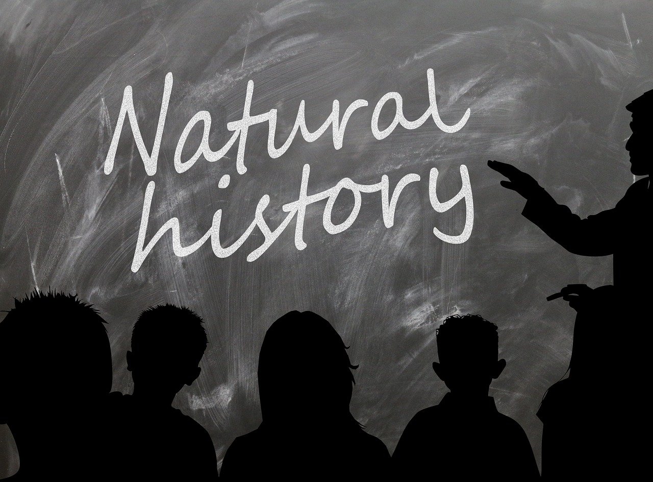 知青下乡题材电视剧，历史与情感的交织之旅