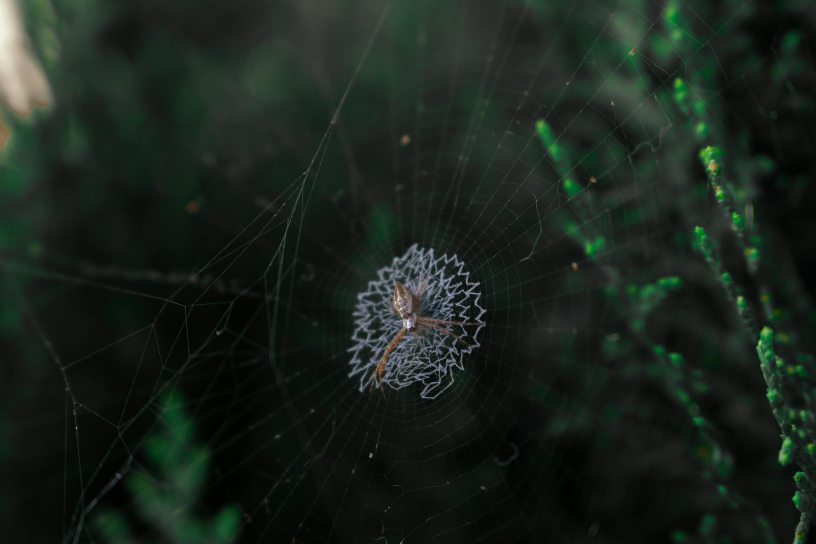 越南疫情动态更新，挑战与应对策略