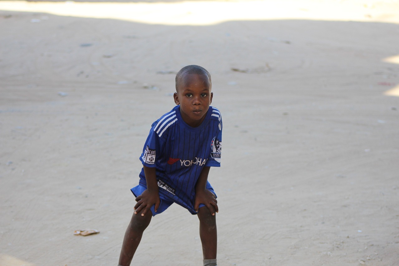 非洲蝗虫最新动态与影响概述