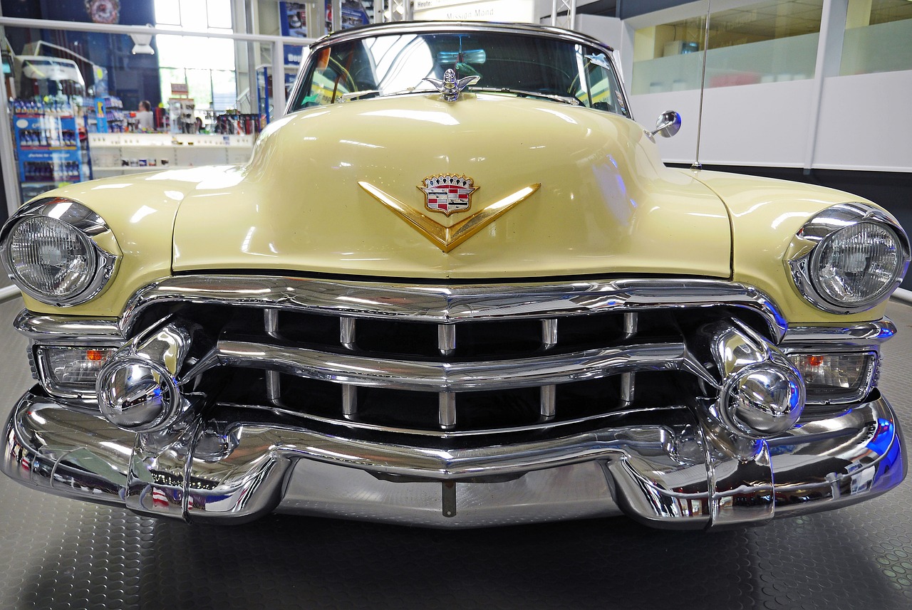 拖你的手 第22页