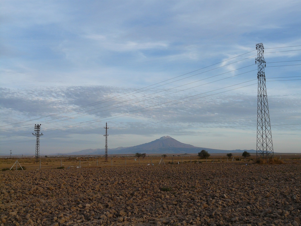 王向银的最新动态与成就概览