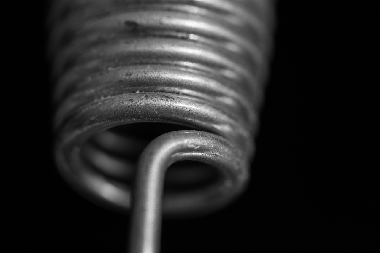 闵行区最新资讯概览，最新动态与资讯一览无余