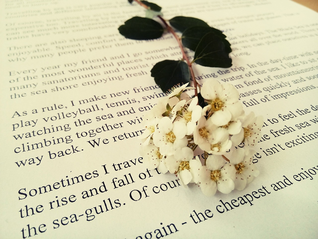 精选2017年度精彩语句荟萃