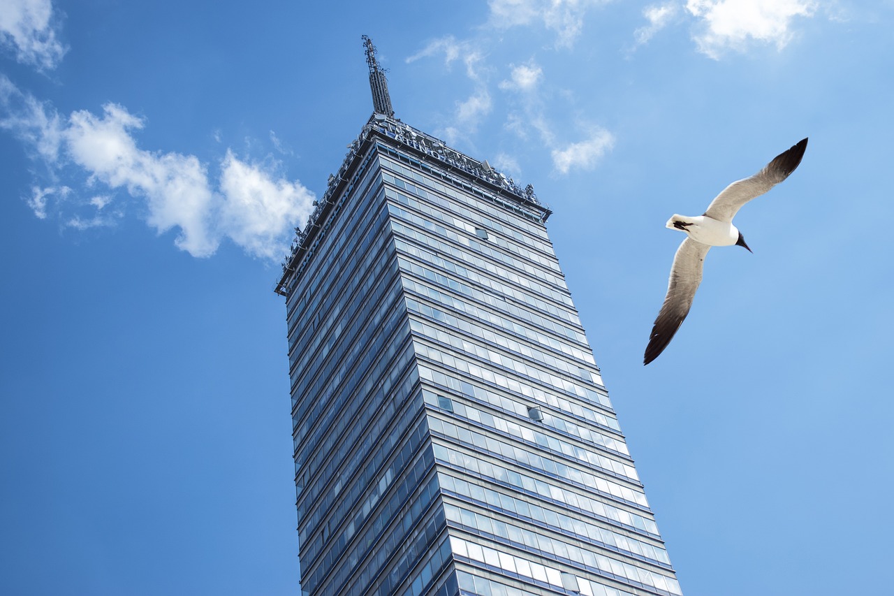 美国联邦储备系统最新利率公布及其影响与前景分析