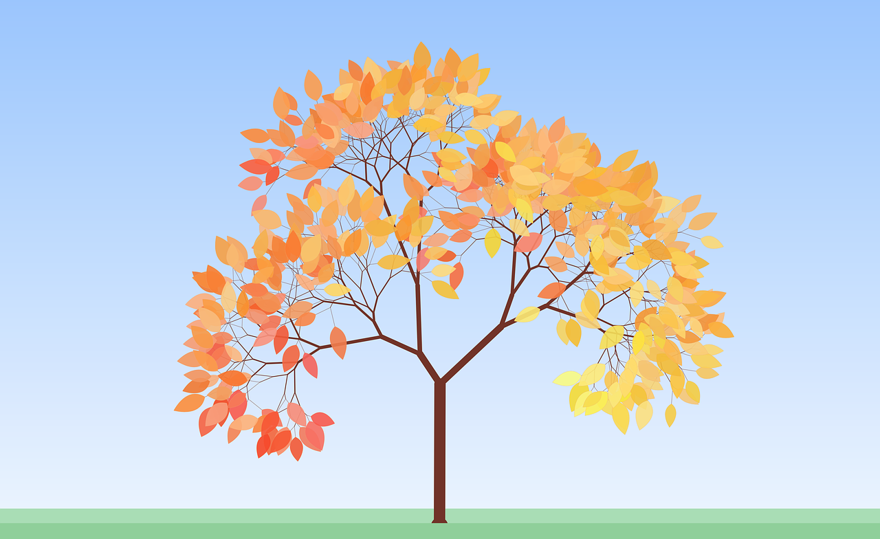 励志故事精选与感悟分享集锦