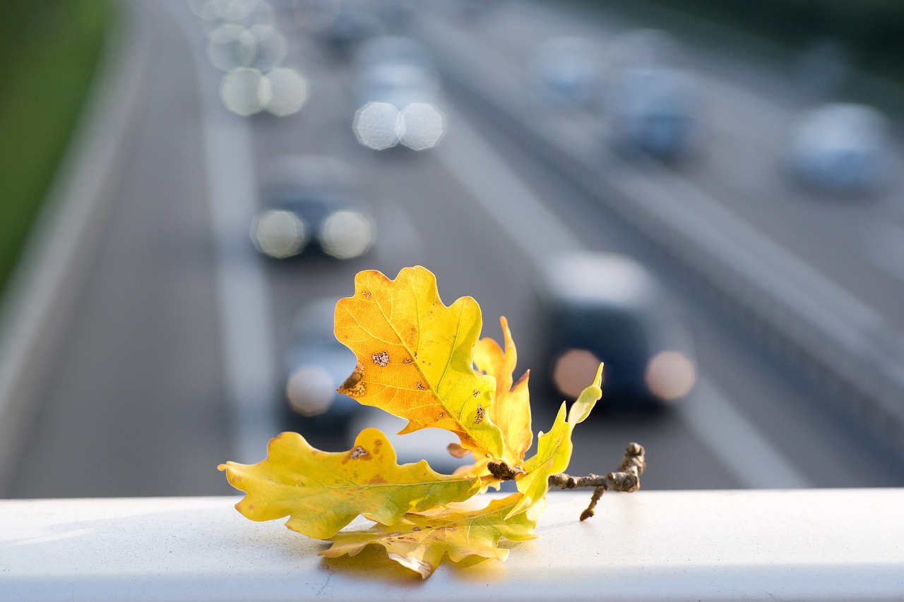 信阳车市动态繁荣背后的深度洞察分析