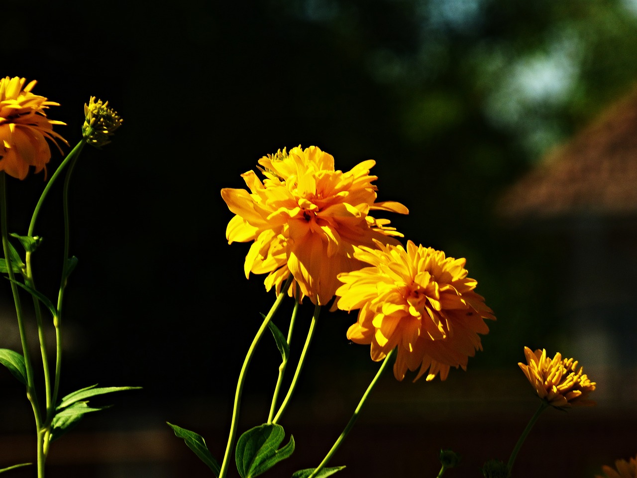 中部战区人事调整最新动态，重塑军事力量布局的重大人事变革举措