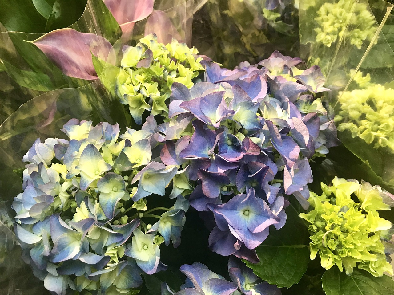 QQ头像动漫，冷酷之美的独特魅力展示