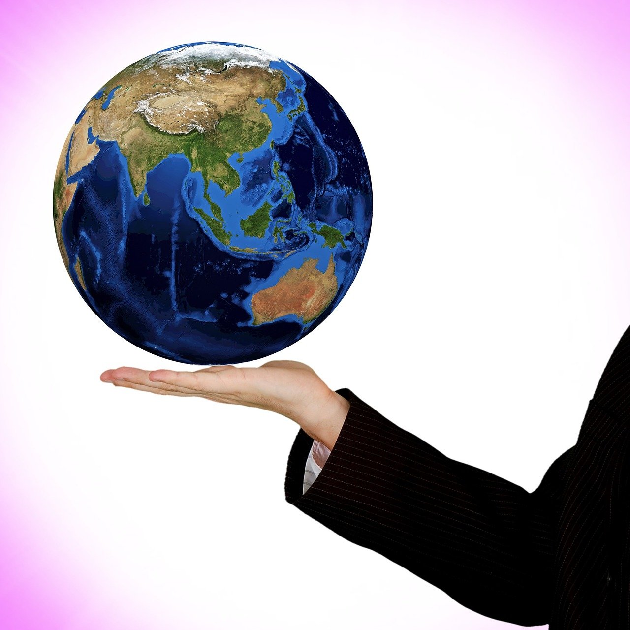 今日蔬菜价格概览,市场走势与消费者洞察