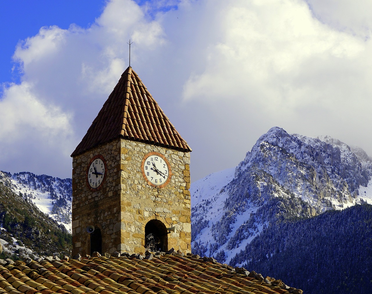 特斯拉股价实时行情与市场动态的深度解析