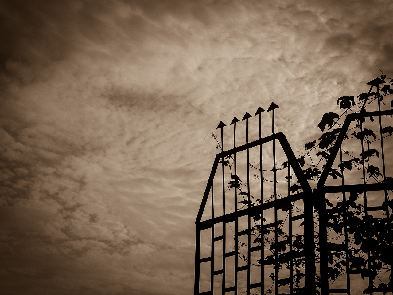 九一电影，历史记忆与文化传承的见证