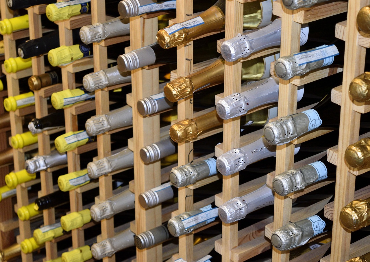 全球疫情最新动态，防控形势与应对策略更新报告