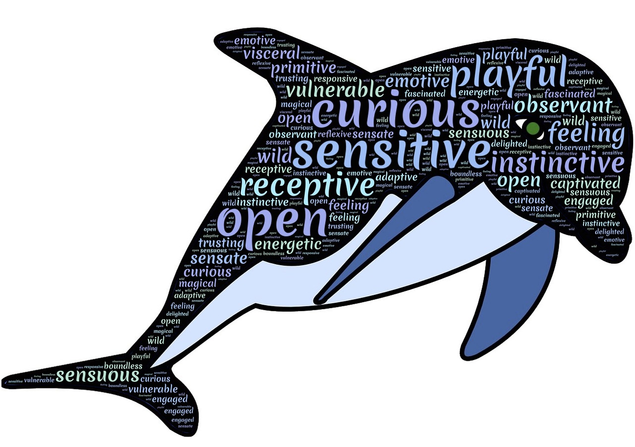 最新生存法则,适应时代变迁的挑战与机遇攻略