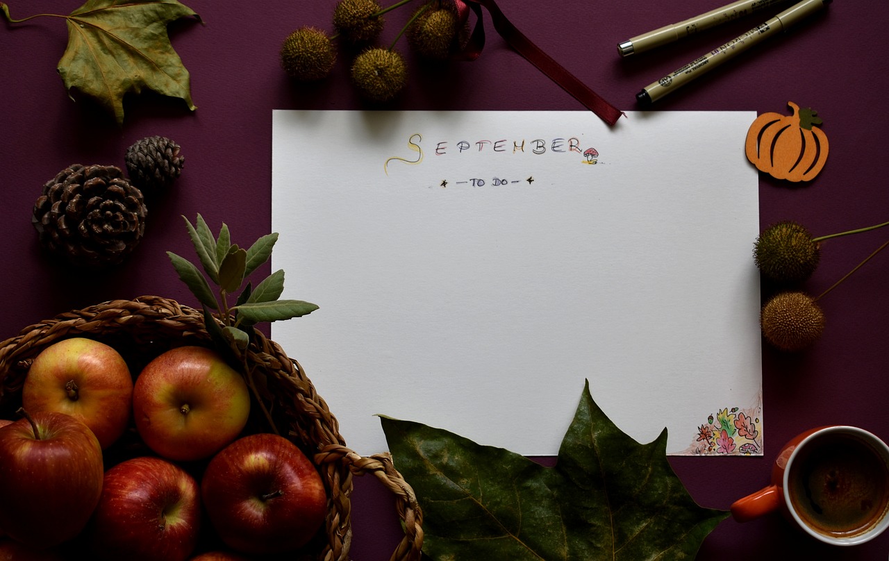 明月苹果上市时间及馈赠，何时品尝这甜美的果实？